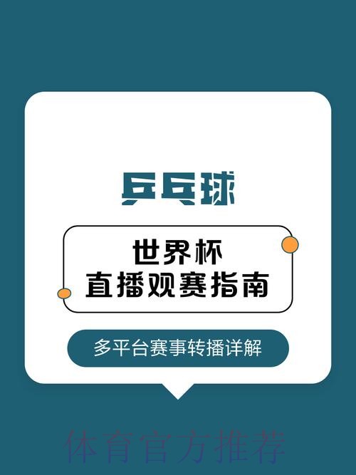 全面解读：世界杯直播分析与观赛技巧